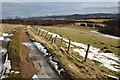 Farmland, Wester Gorton