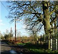 Field entrance on Kerves Lane near Horsham