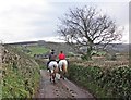 Horse riders above Golsoncott