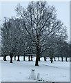 Snowmen in Rothamsted Park