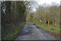 The lane to Bryn Deri