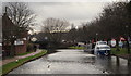 Erewash Canal, Sandiacre, Derbys.