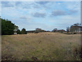 Field north of Milton of Culloden