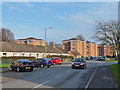 Mackintosh Road, Raigmore