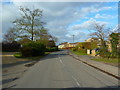TL2844 : Foxhill Road, Guilden Morden by Alexander P Kapp