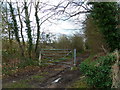 Track off Village Road, Denham