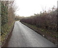 Shallow ribbons of water lining Church Lane, Coedkernew