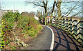 Path and cycle lane, Coleraine