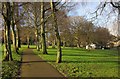 Tree-lined path, Forde Park