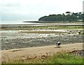 NX1045 : Looking towards Longrigg at low tide by Ann Cook