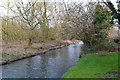 River Wey adjacent to Snaylslynch Farm