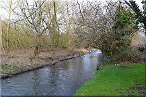 SU8547 : River Wey adjacent to Snaylslynch Farm by David Martin