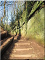 Footpath in Helsby Quarry