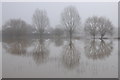 SO8933 : Trees reflected in floodwater by Philip Halling