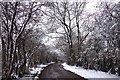 A snowy Oxfordshire Way in Beckley