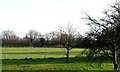 Cricket and football ground, Blindley Heath, Surrey