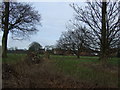 Farmland off the A49