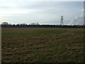 Farmland off Hollins Lane