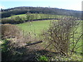 Countryside near Timberden Farm