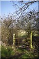 Footbridge & Stile on Path 143