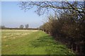 Footpath Near Louisa Cottage