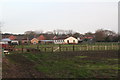 Horse-culture at the back of North Somercotes