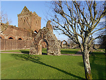 NX9666 : The Remains of Sweetheart Abbey by David Dixon