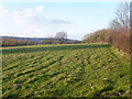 Field alongside Otford Road