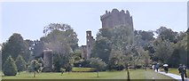W6075 : Blarney Castle by Len Williams