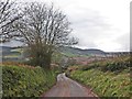 Steep lane above Monksilver