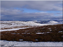 NJ2815 : Varied cover of snow and mountain vegetation in The Ladder Hills, Strathdon by ian shiell