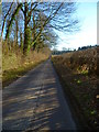 Hay Down Lane looking south (2)