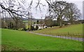 White Ball : Grassy Field & Driveway