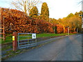 Footpath sign off Balksbury Hill