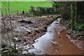 Taunton Deane District : Small Stream & Path