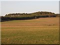 Farmland on Millstone Hill and Matthew