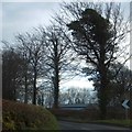 Farm buildings beyond the trees