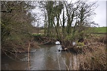 ST1021 : Taunton Deane District : The River Tone by Lewis Clarke