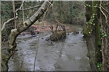 ST1021 : Taunton Deane District : The River Tone by Lewis Clarke