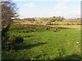 Mullaghslin Glebe Townland