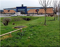 ST3486 : Cineworld viewed from Queensway Meadows, Newport by Jaggery