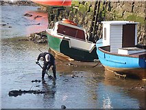 NZ3376 : Seaton Sluice Harbour by Oliver Dixon