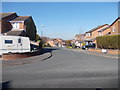 Buckthorne Close - Buckthorne Drive