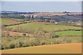 Mid Devon : Rolling Hillsides