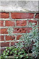 Benchmark on Maria Assumpta Chapel, Kensington Square