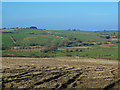 Ayrshire Farmland View