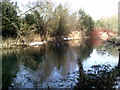 Wintry day by the River Beane