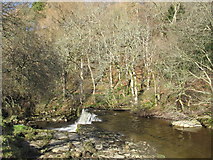 NY8452 : The River East Allen at Holms Linn by Mike Quinn