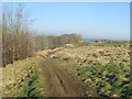 Kimsbury Camp (Painswick Beacon)