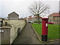 Path to Roxburgh Road